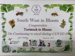 Tavistock in Bloom